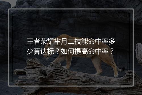 王者荣耀芈月二技能命中率多少算达标？如何提高命中率？