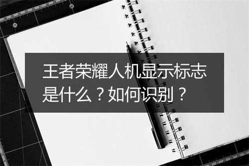 王者荣耀人机显示标志是什么？如何识别？