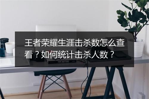 王者荣耀生涯击杀数怎么查看?如何统计击杀人数?