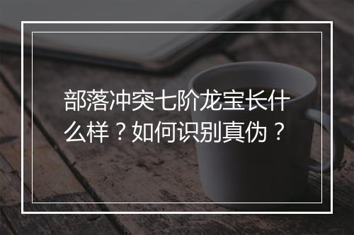 部落冲突七阶龙宝长什么样？如何识别真伪？