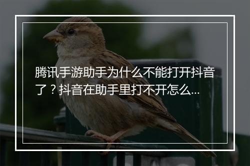 腾讯手游助手为什么不能打开抖音了？抖音在助手里打不开怎么办？