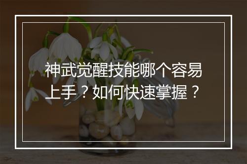 神武觉醒技能哪个容易上手？如何快速掌握？