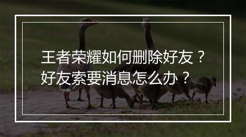 王者荣耀如何删除好友?好友索要消息怎么办?