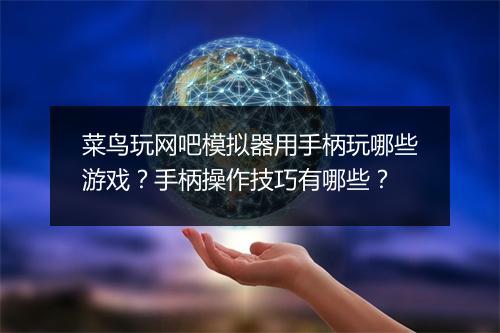 菜鸟玩网吧模拟器用手柄玩哪些游戏？手柄操作技巧有哪些？