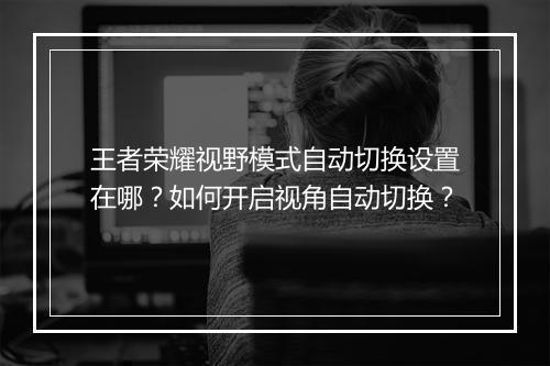王者荣耀视野模式自动切换设置在哪？如何开启视角自动切换？