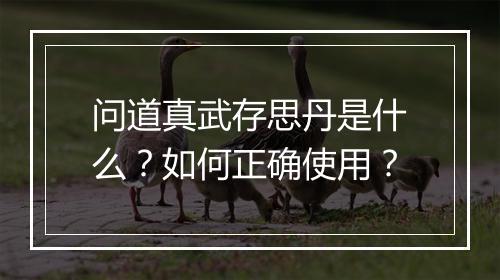 问道真武存思丹是什么?如何正确使用?