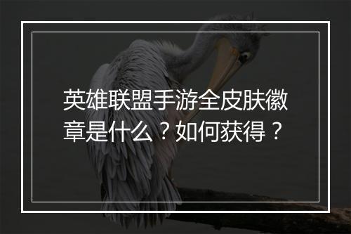 英雄联盟手游全皮肤徽章是什么?如何获得?