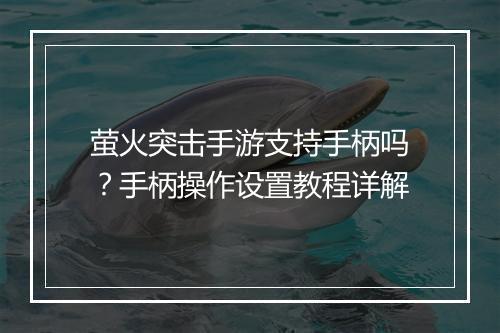萤火突击手游支持手柄吗？手柄操作设置教程详解