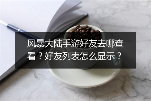 风暴大陆手游好友去哪查看?好友列表怎么显示?
