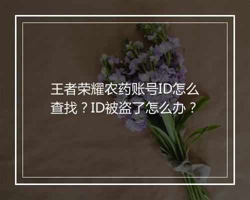 王者荣耀农药账号ID怎么查找?ID被盗了怎么办?
