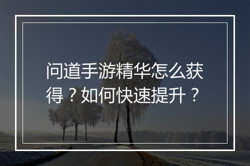 问道手游精华怎么获得?如何快速提升?