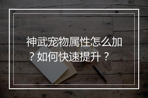神武宠物属性怎么加?如何快速提升?