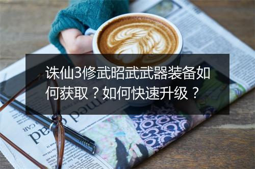 诛仙3修武昭武武器装备如何获取？如何快速升级？