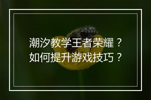 潮汐教学王者荣耀？如何提升游戏技巧？