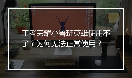 王者荣耀小鲁班英雄使用不了?为何无法正常使用?