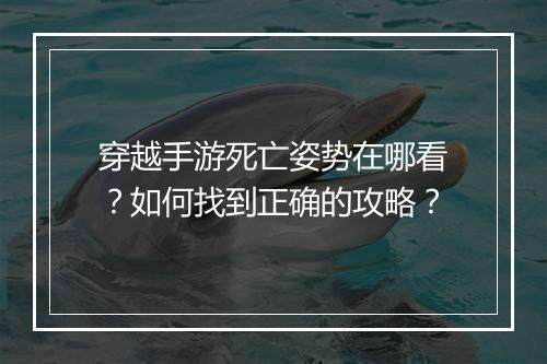 穿越手游死亡姿势在哪看？如何找到正确的攻略？