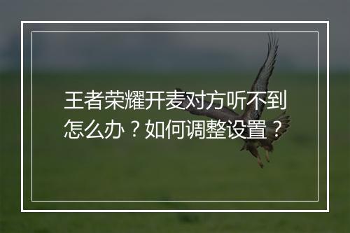王者荣耀开麦对方听不到怎么办？如何调整设置？