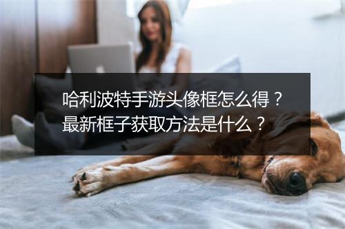 哈利波特手游头像框怎么得?最新框子获取方法是什么?
