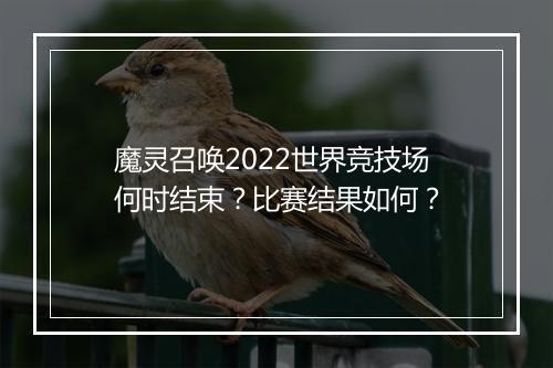 魔灵召唤2022世界竞技场何时结束?比赛结果如何?