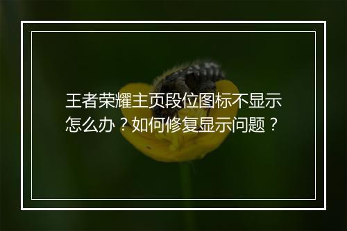 王者荣耀主页段位图标不显示怎么办？如何修复显示问题？