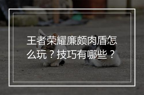 王者荣耀廉颇肉盾怎么玩？技巧有哪些？