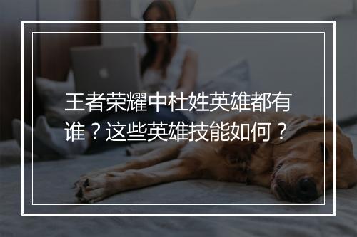 王者荣耀中杜姓英雄都有谁？这些英雄技能如何？