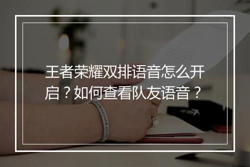王者荣耀双排语音怎么开启？如何查看队友语音？