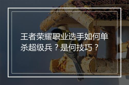 王者荣耀职业选手如何单杀超级兵?是何技巧?