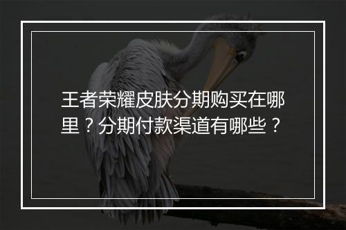 王者荣耀皮肤分期购买在哪里？分期付款渠道有哪些？