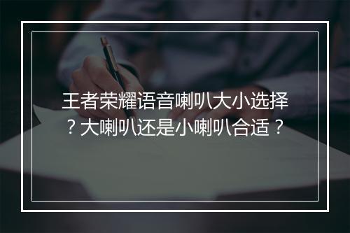 王者荣耀语音喇叭大小选择?大喇叭还是小喇叭合适?