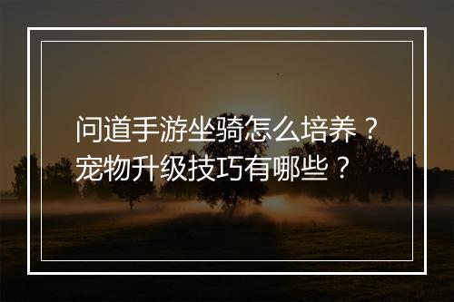 问道手游坐骑怎么培养?宠物升级技巧有哪些?
