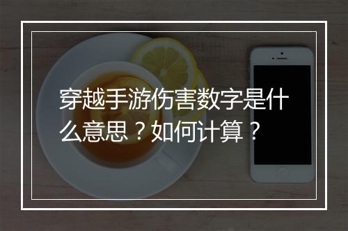 穿越手游伤害数字是什么意思？如何计算？
