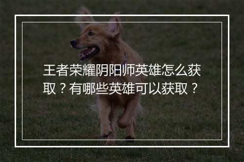 王者荣耀阴阳师英雄怎么获取？有哪些英雄可以获取？