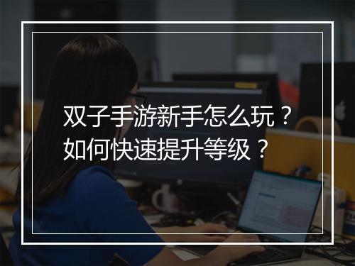 双子手游新手怎么玩？如何快速提升等级？